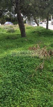Οικόπεδο 710τ.μ. για πώληση-Αρτέμιδα (λούτσα)