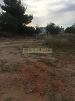 Οικόπεδο 885τ.μ. για πώληση-Αρτέμιδα (λούτσα)