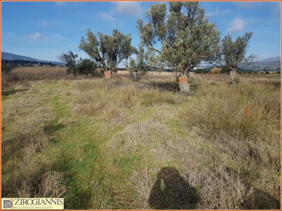 Αγροτεμάχια 1.618 τ.μ. για πώληση, Αθήνα - Ανατολικά Προάστια, Σπάτα