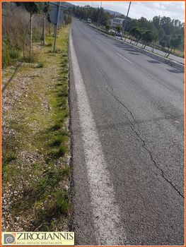 Αγροτεμάχια 1.452τ.μ. για πώληση-Αρτέμιδα (λούτσα)
