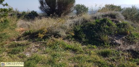 Οικόπεδο 916τ.μ. για πώληση-Πικέρμι