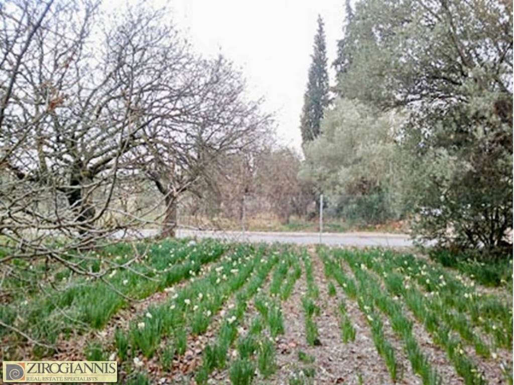 Οικόπεδο 3.400 τ.μ. προς πώληση, Παιανία