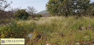 Οικόπεδο 15.000 τ.μ. για πώληση