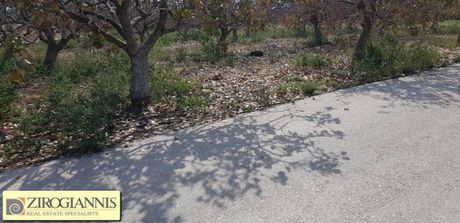 Οικόπεδο 10.000τ.μ. για πώληση-Μαρκόπουλο
