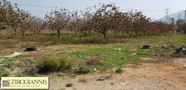 Οικόπεδο 25.000 τ.μ. για πώληση, Αττική - Υπόλοιπο, Μαρκόπουλο
