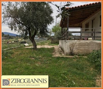 Οικόπεδο 1.750τ.μ. για πώληση-Παλλήνη