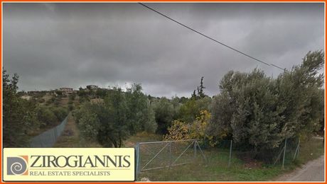 Οικόπεδο 5.978τ.μ. για πώληση-Παλλήνη