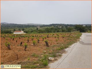 Αγροτεμάχια 6.000 τ.μ. για πώληση