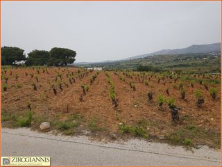Αγροτεμάχια 22.000 τ.μ. για πώληση