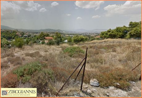 Αγροτεμάχια 625τ.μ. για πώληση-Μελίσσια