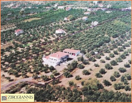 Αγροτεμάχια 35.000τ.μ. για πώληση-Γύθειο