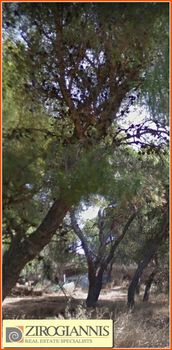 Οικόπεδο 480τ.μ. για πώληση-Μελίσσια