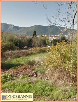 Οικόπεδο 600τ.μ. για πώληση-Παλλήνη