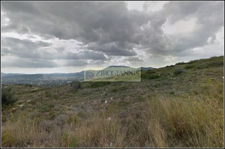 Αγροτεμάχια 10.000τ.μ. για πώληση-Παλλήνη