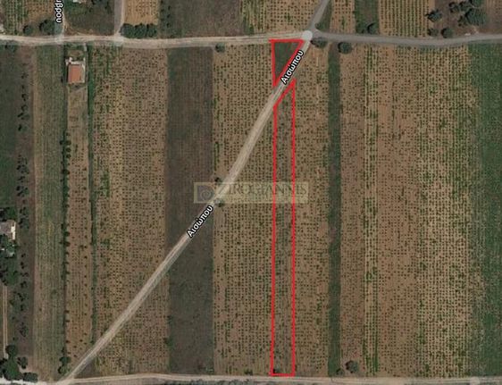 Αγροτεμάχια 1.900 τ.μ. για πώληση, Αθήνα - Ανατολικά Προάστια, Σπάτα