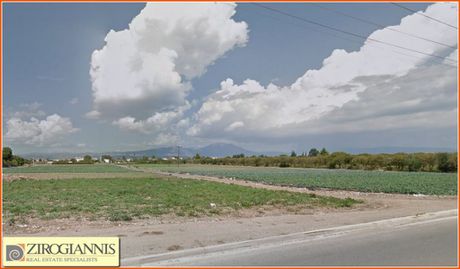 Αγροτεμάχια 93.000 τ.μ. για πώληση