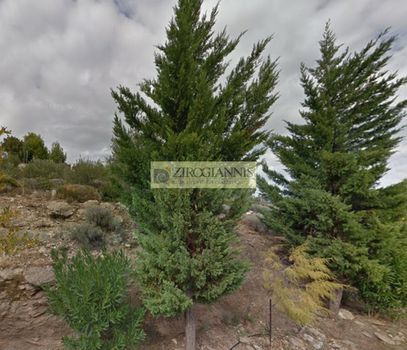 Land plot 1.500sqm for sale-Pikermi