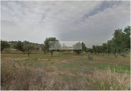 Οικόπεδο 1.800 τ.μ. για πώληση