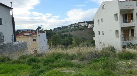 Οικόπεδο 714τ.μ. για πώληση-Παλλήνη