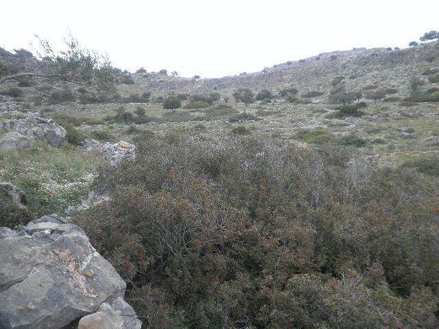 Αγροτεμάχια 14.000 τ.μ. πρός πώληση, Δωδεκάνησα, Ρόδος
