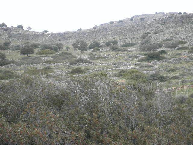 Αγροτεμάχια 14.000 τ.μ. πρός πώληση, Δωδεκάνησα, Ρόδος