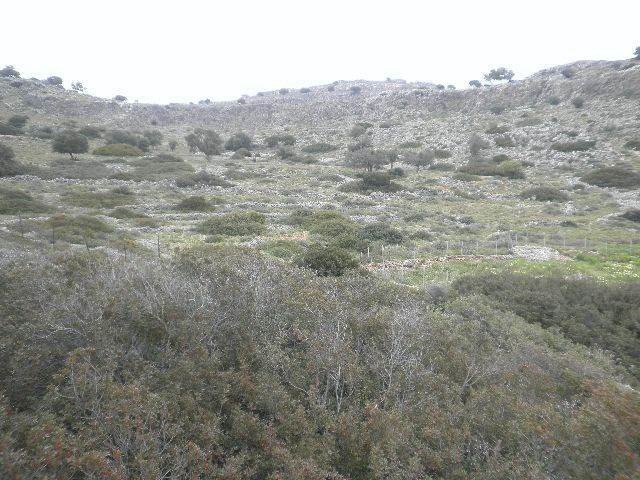 Αγροτεμάχια 14.000 τ.μ. πρός πώληση, Δωδεκάνησα, Ρόδος