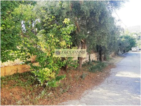Οικόπεδο 480τ.μ. για πώληση-Μαρκόπουλο