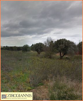 Οικόπεδο 8.500 τ.μ. για πώληση