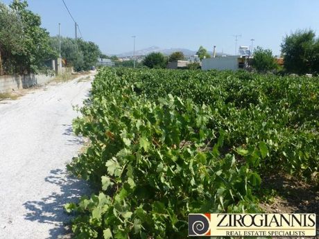 Αγροτεμάχια 5.600τ.μ. για πώληση-Παλλήνη