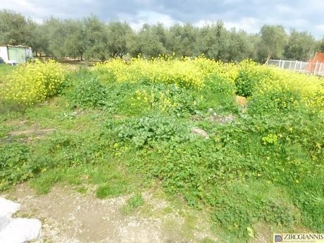 Οικόπεδο 658τ.μ. για πώληση-Παλλήνη