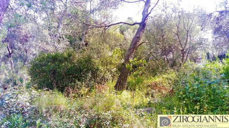Οικόπεδο 800τ.μ. για πώληση-Παλλήνη
