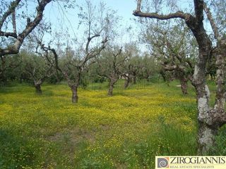 Οικόπεδο 2.800 τ.μ. για πώληση, Ζάκυνθος, Λαγανάς-thumb-1