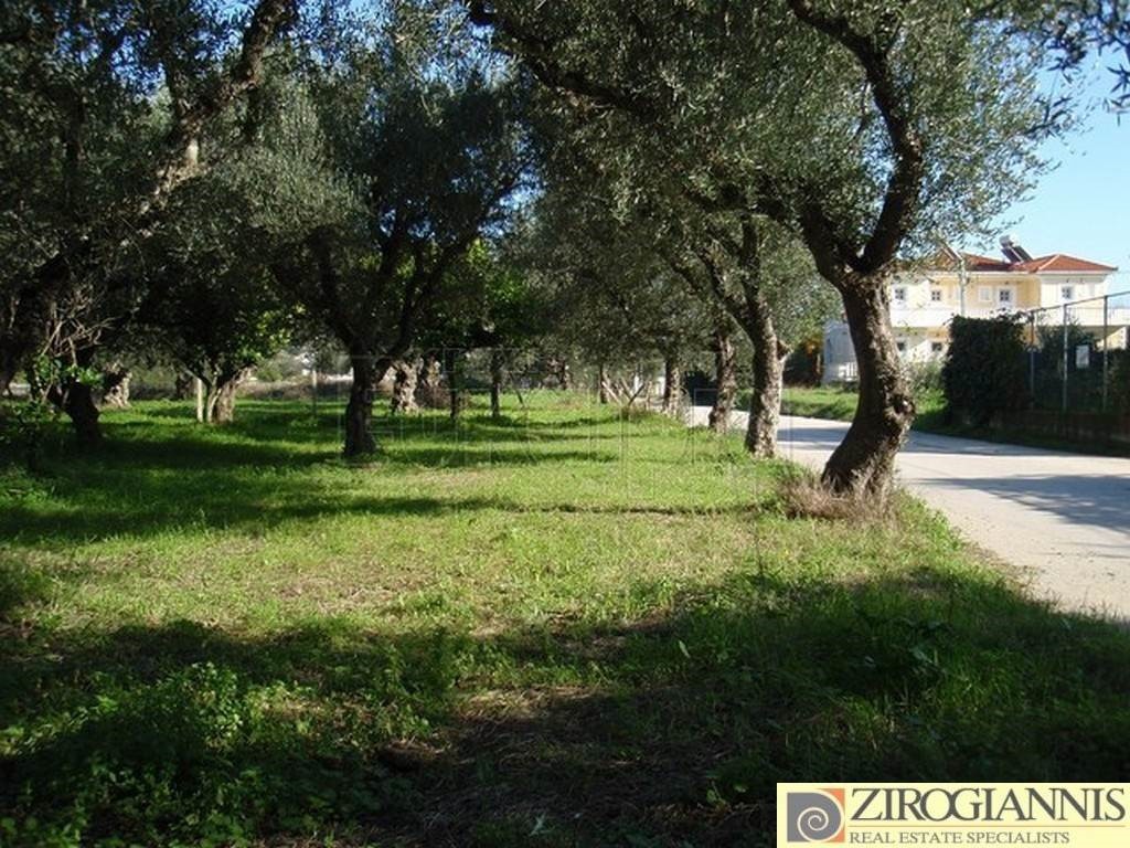 Οικόπεδο 2.800 τ.μ. για πώληση, Ζάκυνθος, Λαγανάς