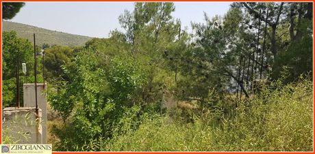 Οικόπεδο 400τ.μ. για πώληση-Ανθούσα