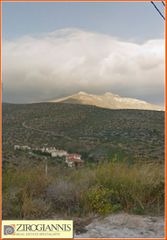 Οικόπεδο 1.296 τ.μ. για πώληση