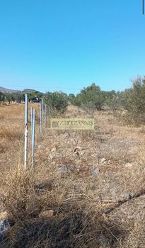 Οικόπεδο 2.800 τ.μ. για πώληση