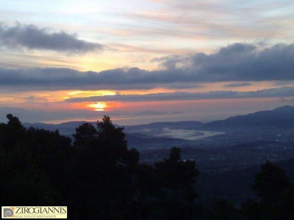 Οικόπεδο 2.018 τ.μ. για πώληση, Αττική - Υπόλοιπο, Αφίδνες