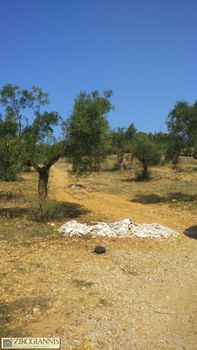 Οικόπεδο 6.500 τ.μ. για πώληση