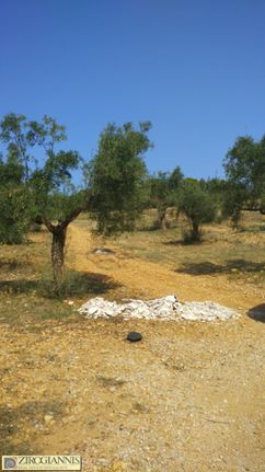 Οικόπεδο 6.500 τ.μ. για πώληση, Αθήνα - Ανατολικά Προάστια, Σπάτα