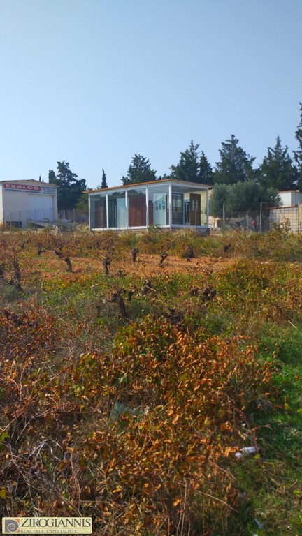 Οικόπεδο 5.000 τ.μ. προς πώληση, Σπάτα