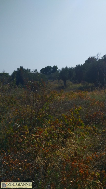 Οικόπεδο 5.000 τ.μ. προς πώληση, Σπάτα