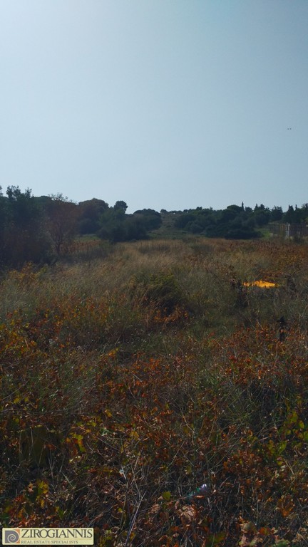 Οικόπεδο 5.000 τ.μ. προς πώληση, Σπάτα