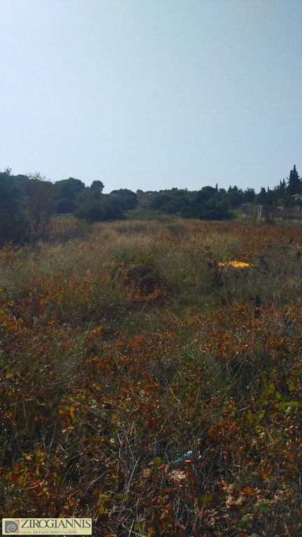 Οικόπεδο 5.000 τ.μ. προς πώληση, Σπάτα