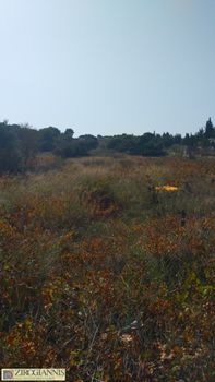 Οικόπεδο 5.000 τ.μ. για πώληση