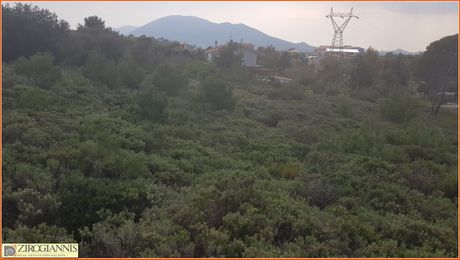 Οικόπεδο 5.000 τ.μ. για πώληση