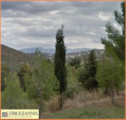 Οικόπεδο 1.295 τ.μ. για πώληση