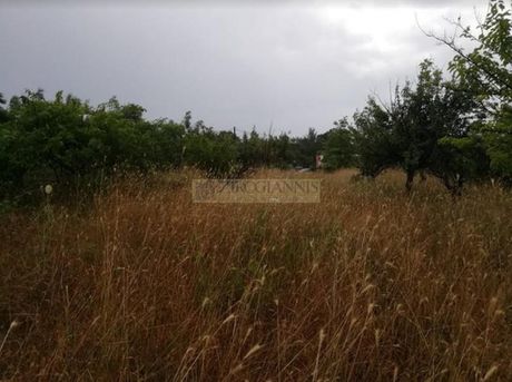 Αγροτεμάχια 1.160τ.μ. για πώληση-Πολυδένδρι