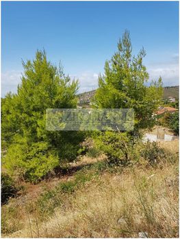 Οικόπεδο 281 τ.μ. για πώληση