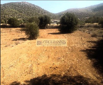 Αγροτεμάχια 17.500τ.μ. για πώληση-Καλύβια θορικού