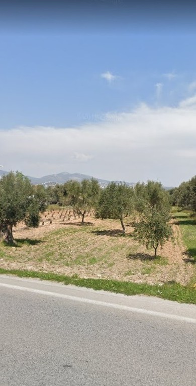 Οικόπεδο 1.580 τ.μ. προς πώληση, Σπάτα